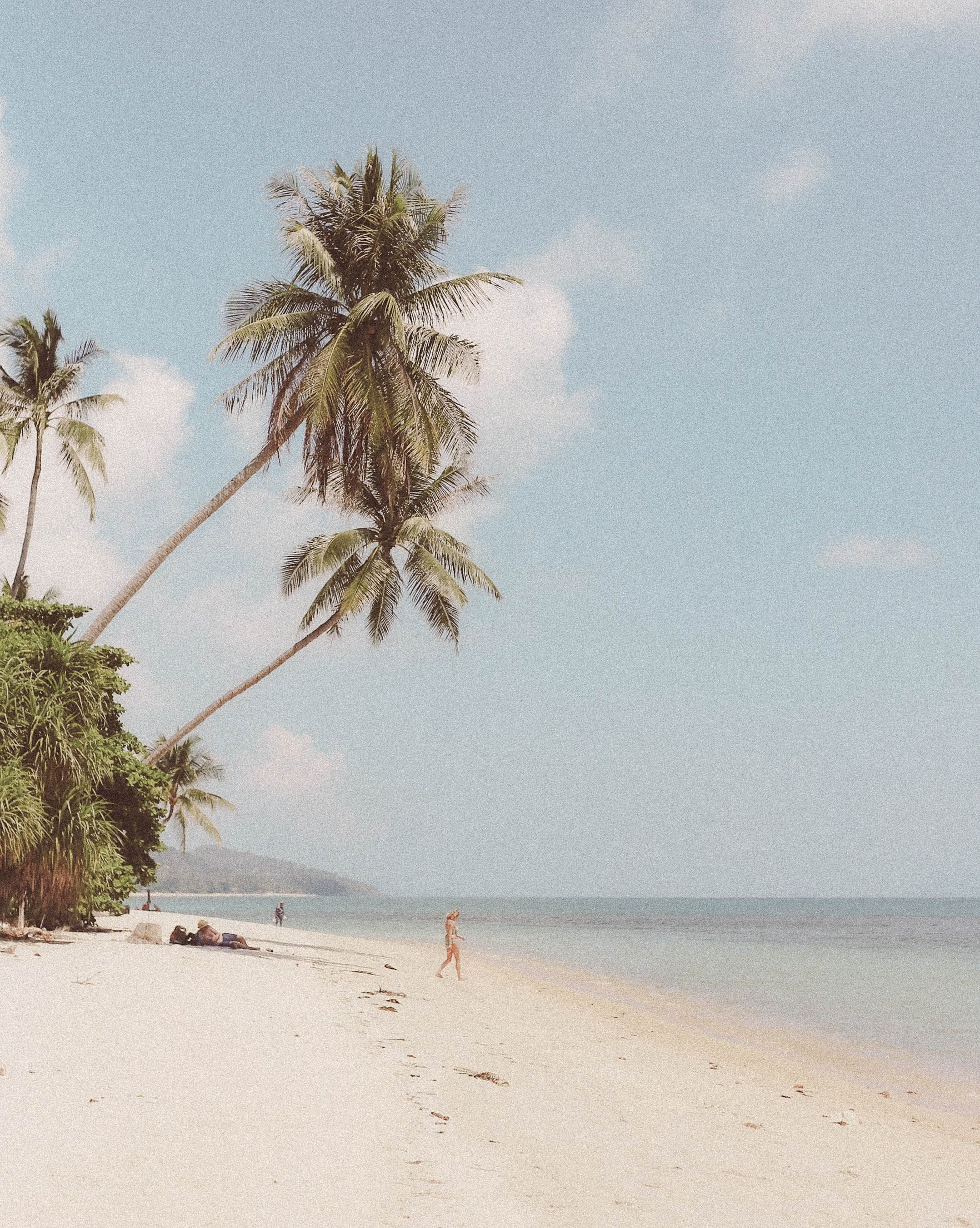 Vintage Photograph of Beach